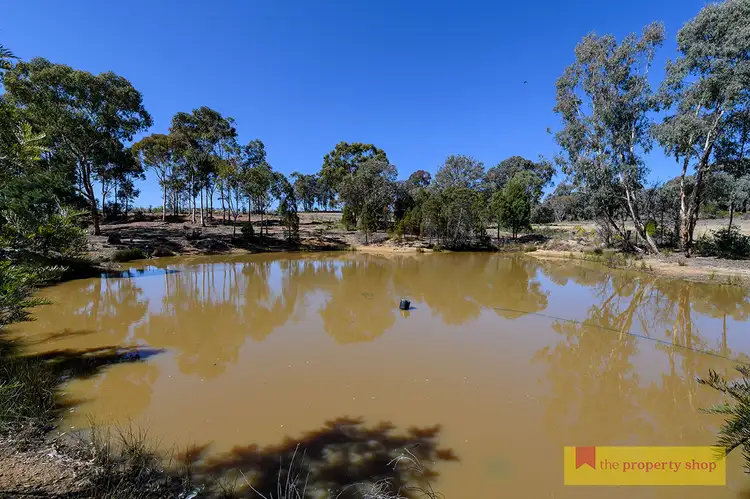 Seventh view of Homely rural property listing, 254 Robertson Road, Mudgee NSW 2850