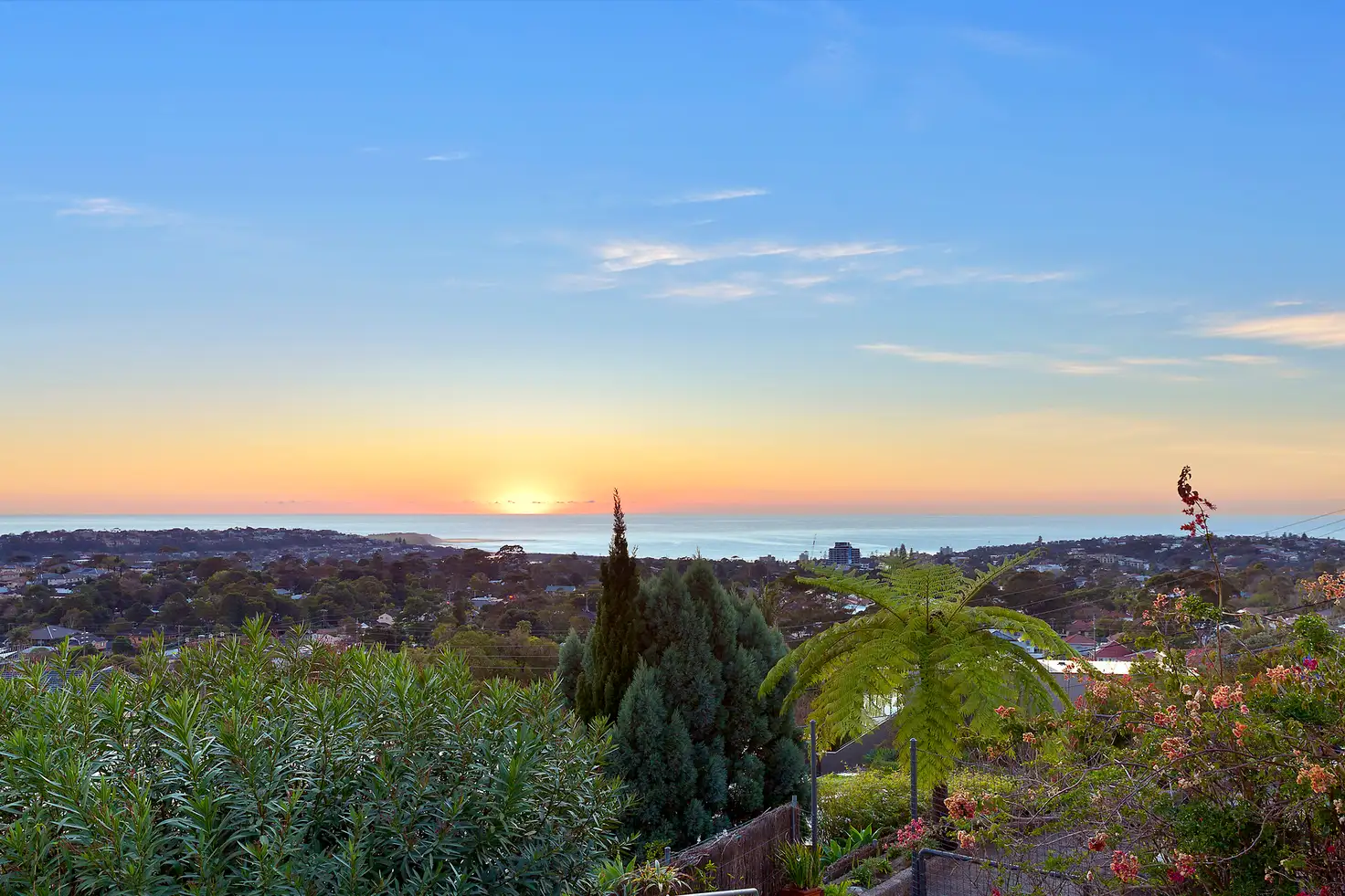 Main view of Homely house listing, 8 Cooper Close, Beacon Hill NSW 2100