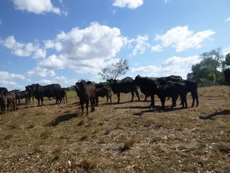 Third view of Homely land listing, 192 North Isis Road, North Isis QLD 4660