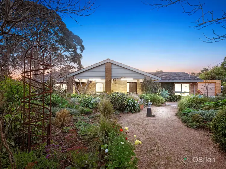 10 Horne Court, Langwarrin VIC 3910