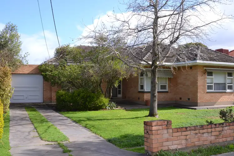 19 Osborn Terrace, Plympton SA 5038
