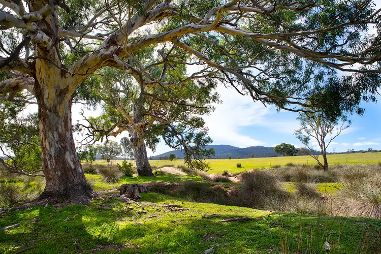 Fifth view of Homely land listing, LOT 4A Skinners Flat - Mt Kerang Road, Maldon VIC 3463