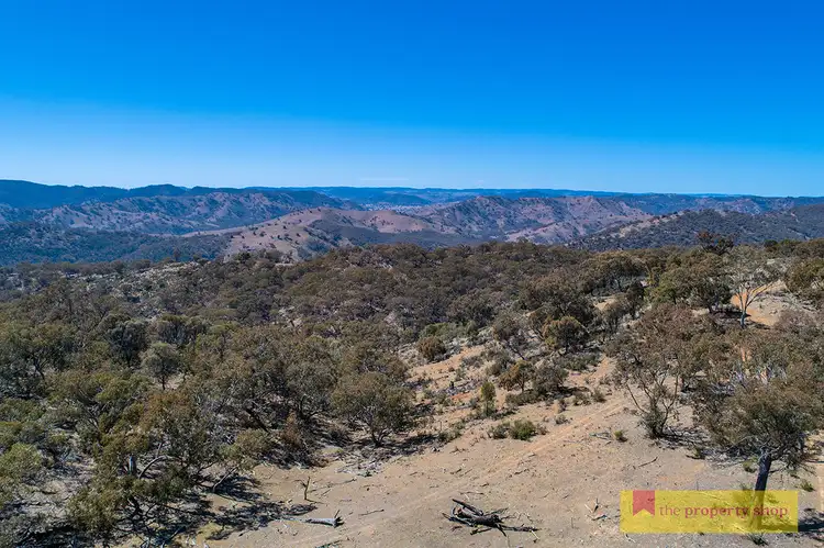 Fifth view of Homely rural property listing, 264 Highland Home Road, Mudgee NSW 2850