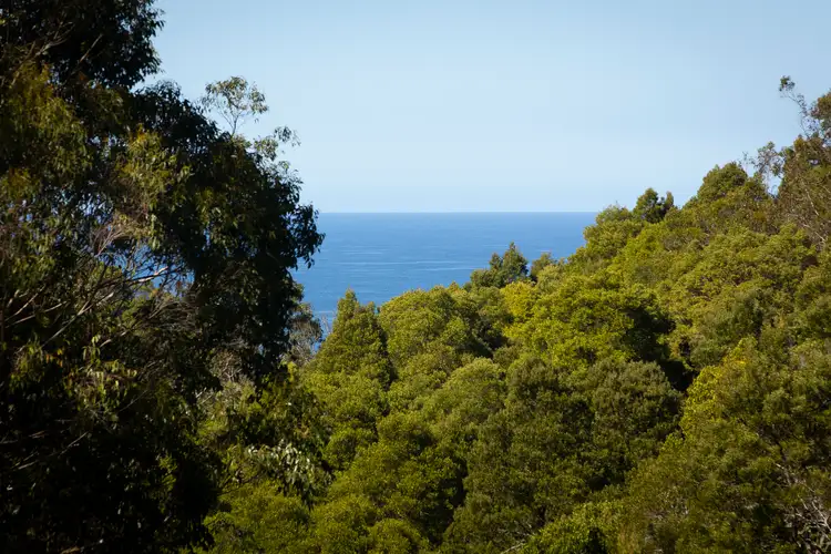 Fifth view of Homely house listing, 50 Jansil Court, Marengo VIC 3233