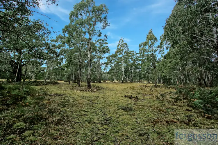 Sixth view of Homely rural property listing, 1 Packers Swamp Road, Nimmitabel NSW 2631