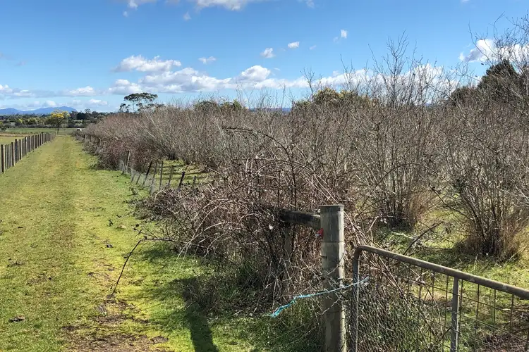 Second view of Homely land listing, 2/252 Ritchie Street, Westbury TAS 7303