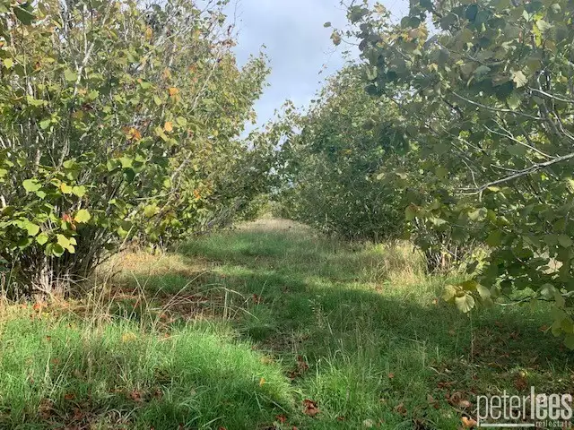 Sixth view of Homely land listing, 2/252 Ritchie Street, Westbury TAS 7303