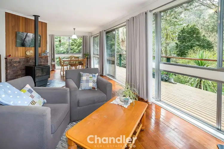Sixth view of Homely house listing, 53 McNicol Road, Belgrave VIC 3160