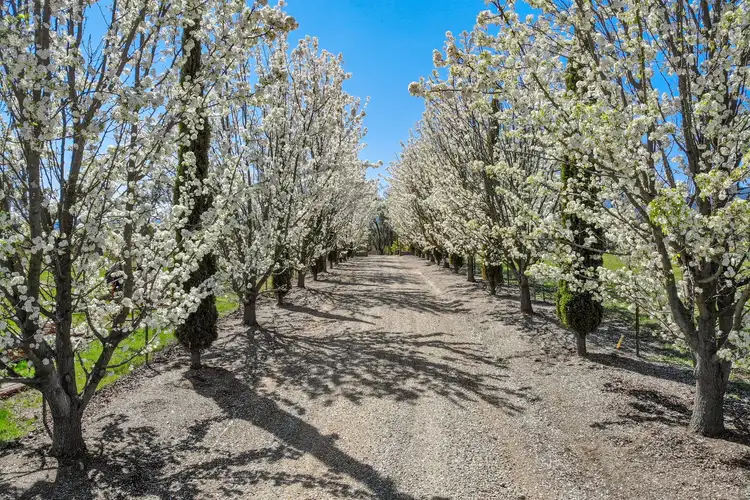 Fifth view of Homely rural property listing, 30 Three Chain Road, Boorolite VIC 3723