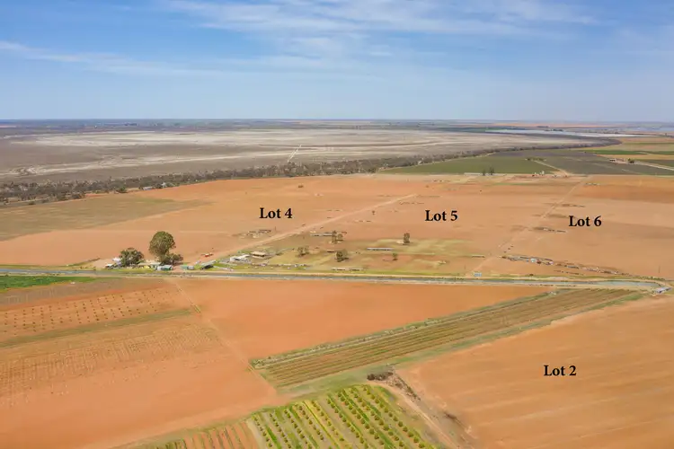 Main view of Homely rural property listing, LOT 2, 4, 5, 6 Swamp Road, Red Cliffs VIC 3496