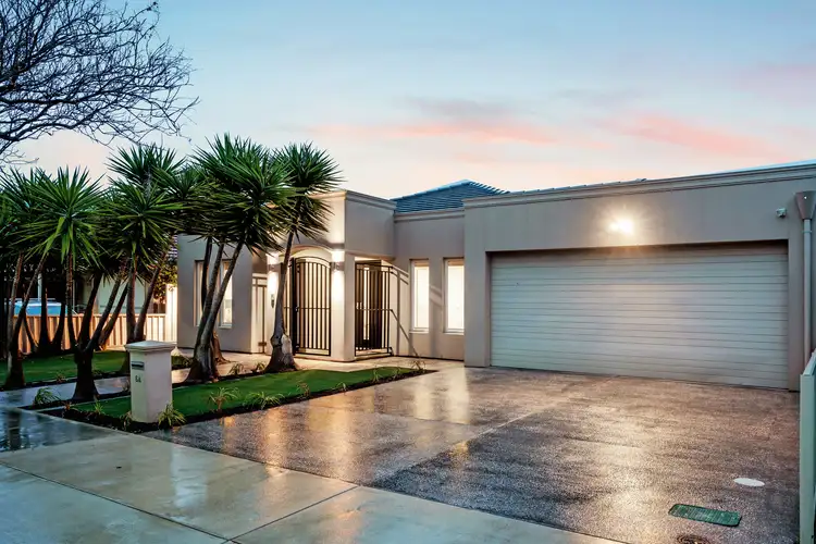 Main view of Homely house listing, 64 Autumn Avenue, Lockleys SA 5032
