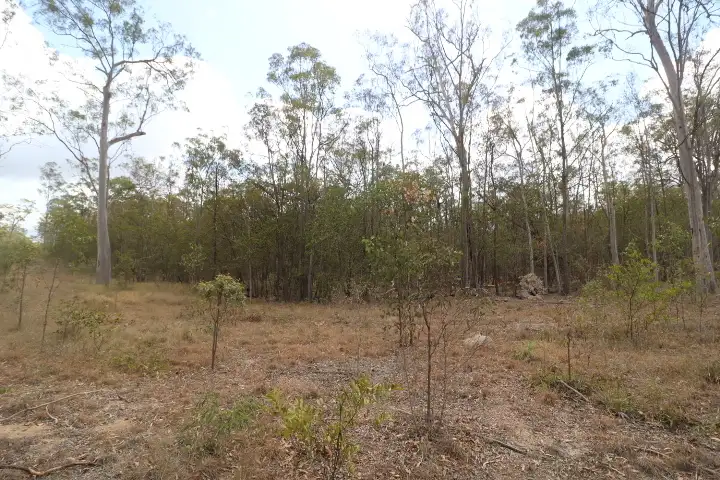Second view of Homely land listing, 543 Mcdonalds Road, North Isis QLD 4660