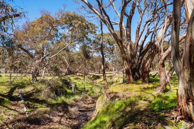 Third view of Homely land listing, 370 Bennys Hill Road, Emu Flat SA 5453