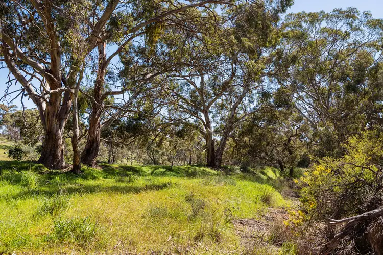 Sixth view of Homely land listing, 370 Bennys Hill Road, Emu Flat SA 5453