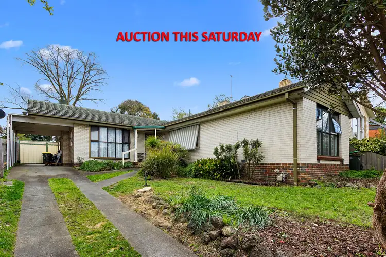 17 Willow Street, Box Hill North VIC 3129