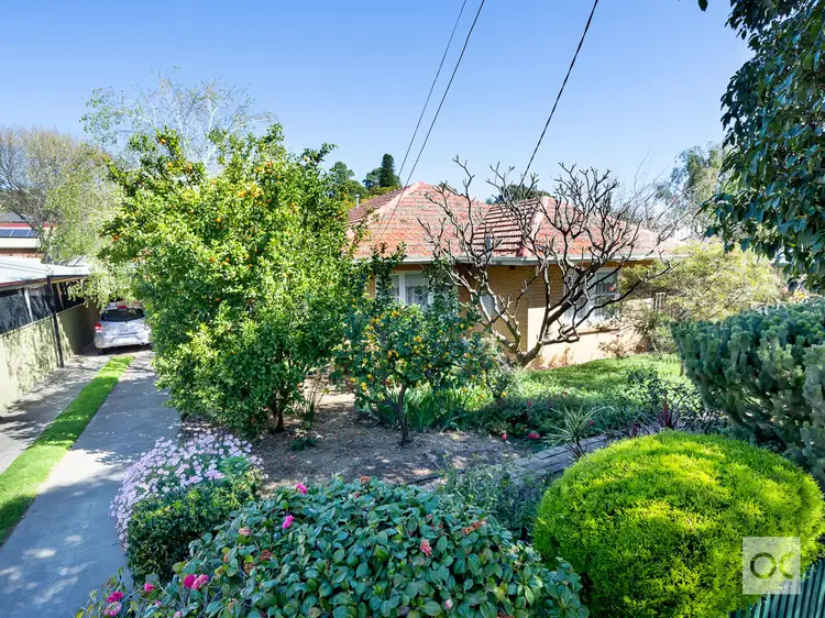 12 Barrelder Road, Torrens Park SA 5062