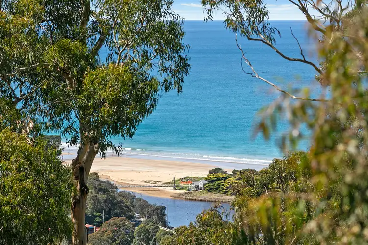 Main view of Homely house listing, 24C Toorak Terrace, Lorne VIC 3232