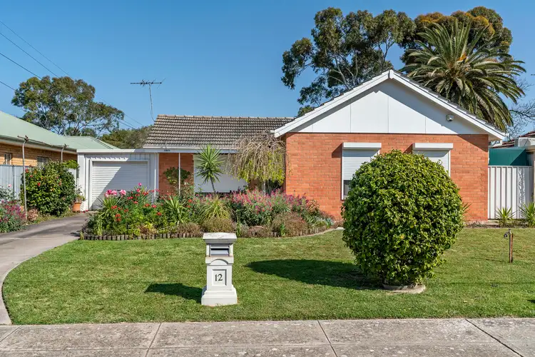 12 Playford Avenue, Netley SA 5037