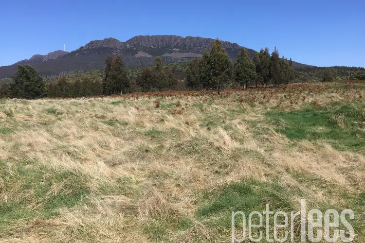 Main view of Homely land listing, 100 Rankins Road, Tayene TAS 7259