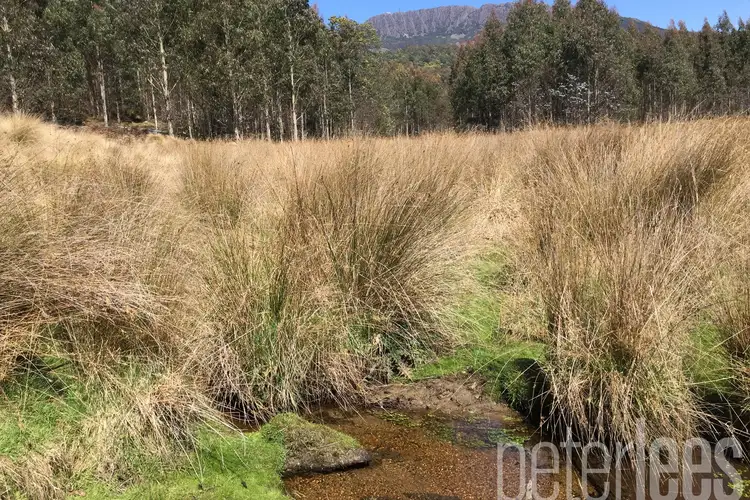 Second view of Homely land listing, 100 Rankins Road, Tayene TAS 7259