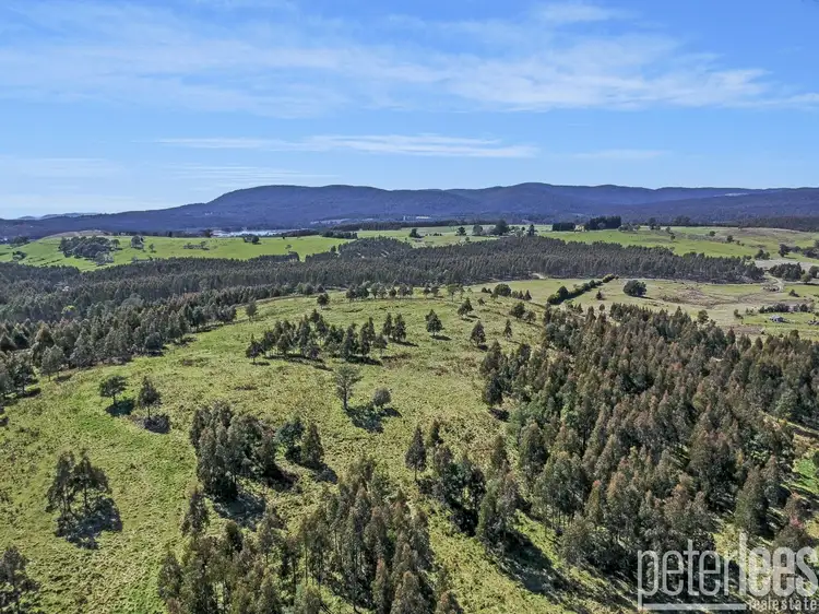 Fifth view of Homely land listing, 100 Rankins Road, Tayene TAS 7259