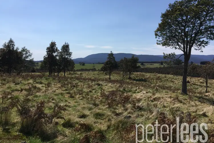 Seventh view of Homely land listing, 100 Rankins Road, Tayene TAS 7259