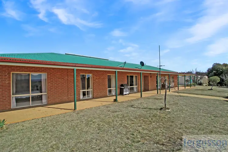 Main view of Homely rural property listing, 124 Bunyanvale Road, Cooma NSW 2630