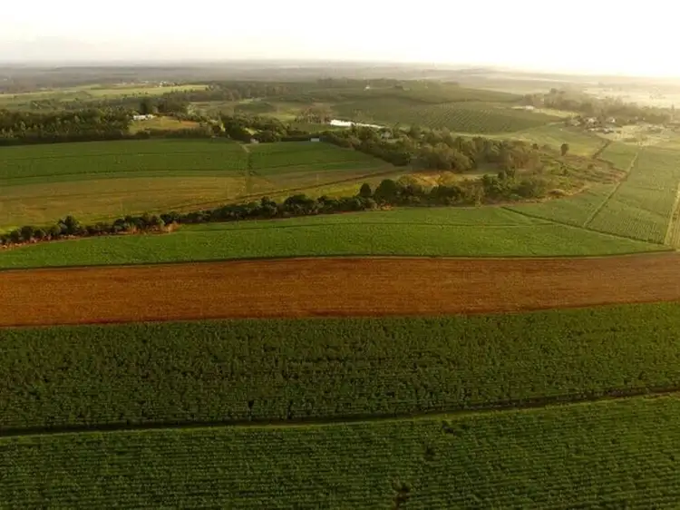 Fourth view of Homely rural property listing, 81 Rankin Road, Childers QLD 4660