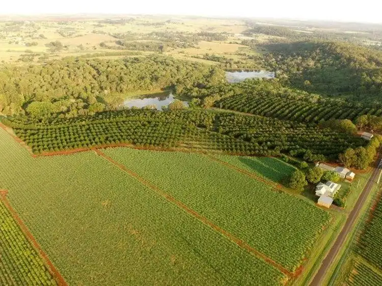 Fifth view of Homely rural property listing, 81 Rankin Road, Childers QLD 4660