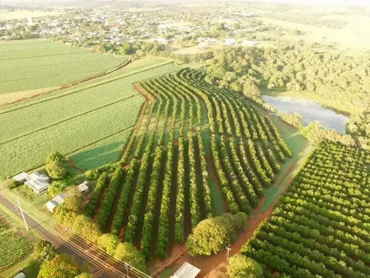 Sixth view of Homely rural property listing, 81 Rankin Road, Childers QLD 4660