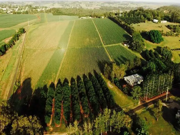 Seventh view of Homely rural property listing, 81 Rankin Road, Childers QLD 4660