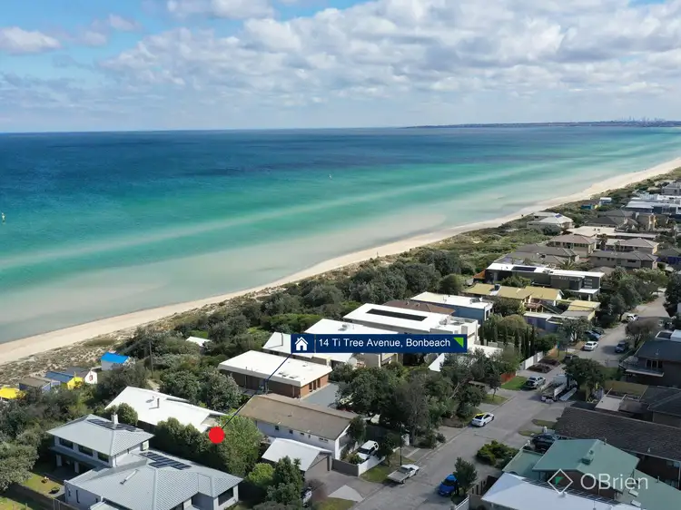Third view of Homely house listing, 14 Ti-Tree Avenue, Bonbeach VIC 3196