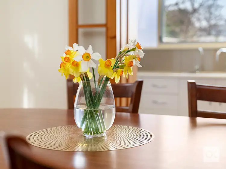 Sixth view of Homely house listing, 53 Botting Street, Albert Park SA 5014