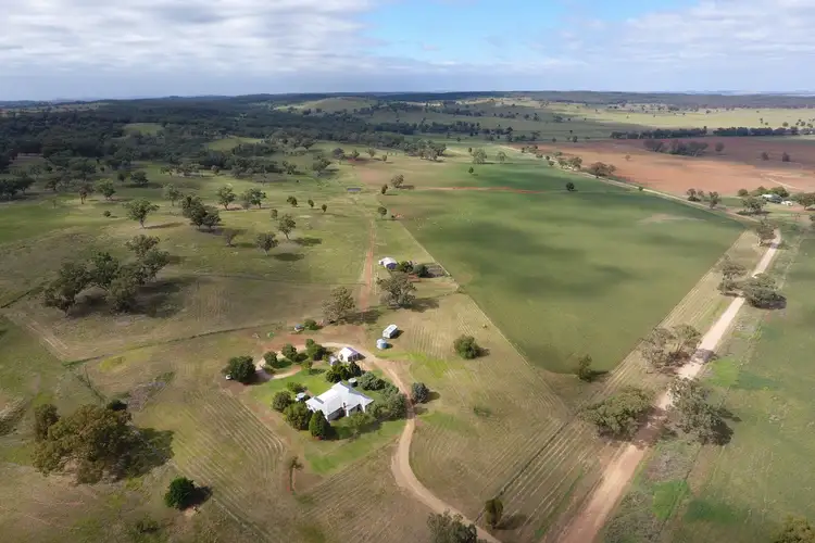 Main view of Homely rural property listing, 165 Laheys Creek Road, Dunedoo NSW 2844