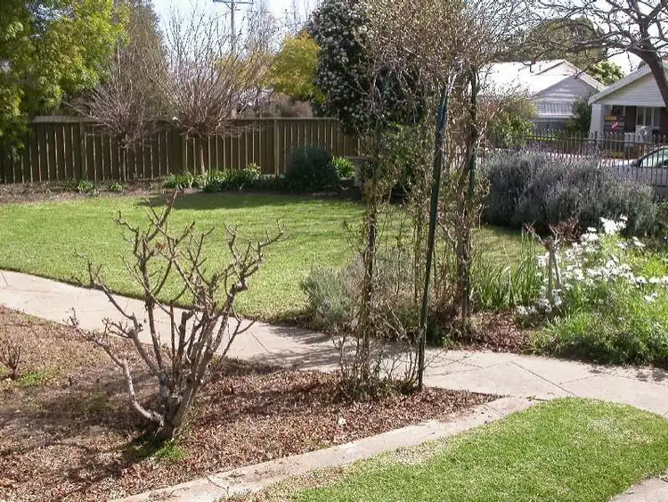 Second view of Homely house listing, 15 Lorraine Avenue, Clarence Park SA 5034