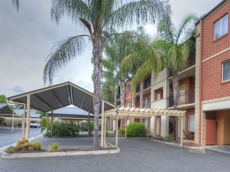 26/55 Melbourne Street, North Adelaide SA 5006
