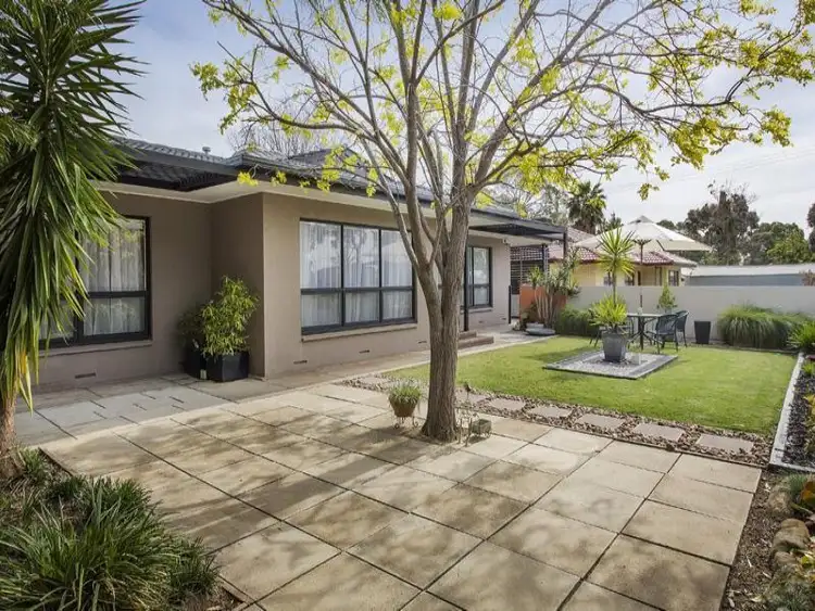 23 Dankel Avenue, Kensington SA 5068