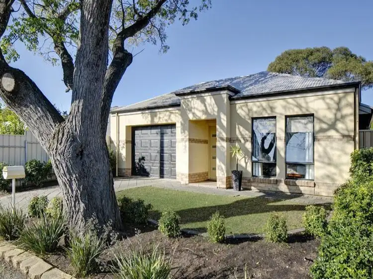 Main view of Homely house listing, 7B Fisher Street, Magill SA 5072