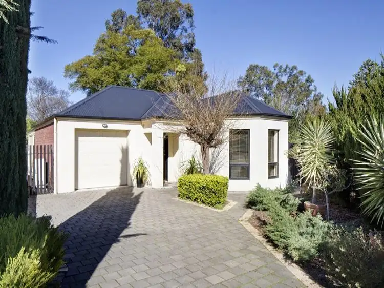 13A Clarence Avenue, Klemzig SA 5087