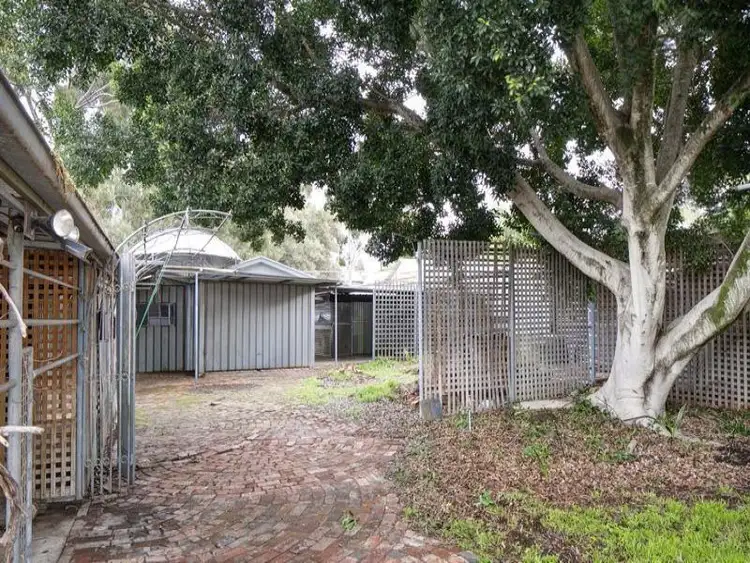 Fourth view of Homely house listing, 16 Warwick Street, Walkerville SA 5081