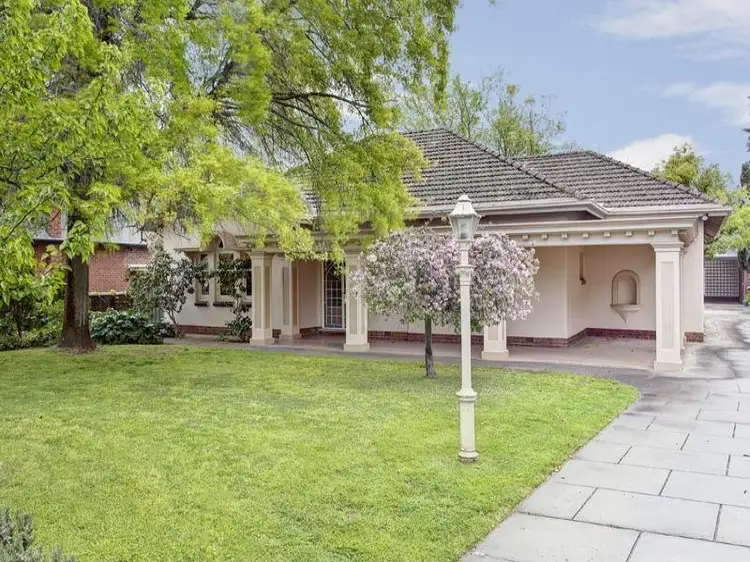 19 Stirling Street, Tusmore SA 5065