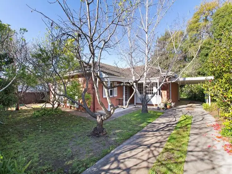 Main view of Homely house listing, 38 St Andrews Street, Walkerville SA 5081