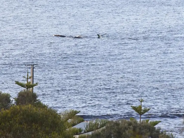 Fifth view of Homely house listing, 32 Stacey Court, Myponga Beach SA 5202