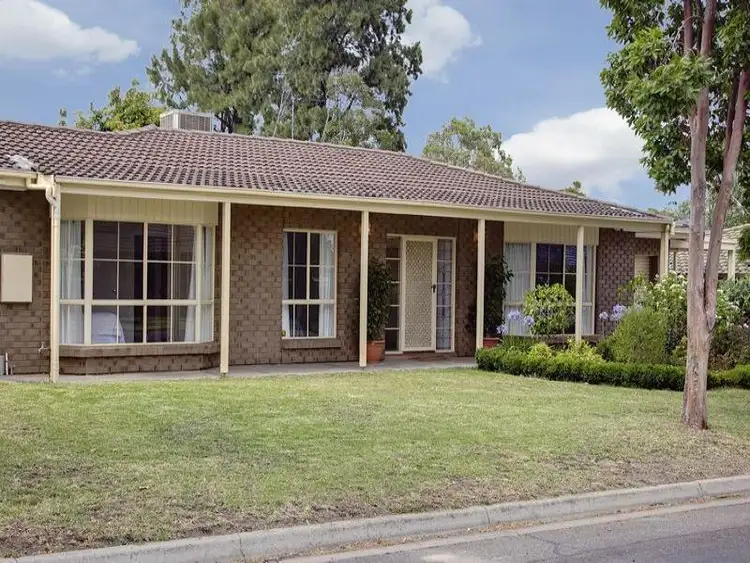 42D Torrens Street, Linden Park SA 5065