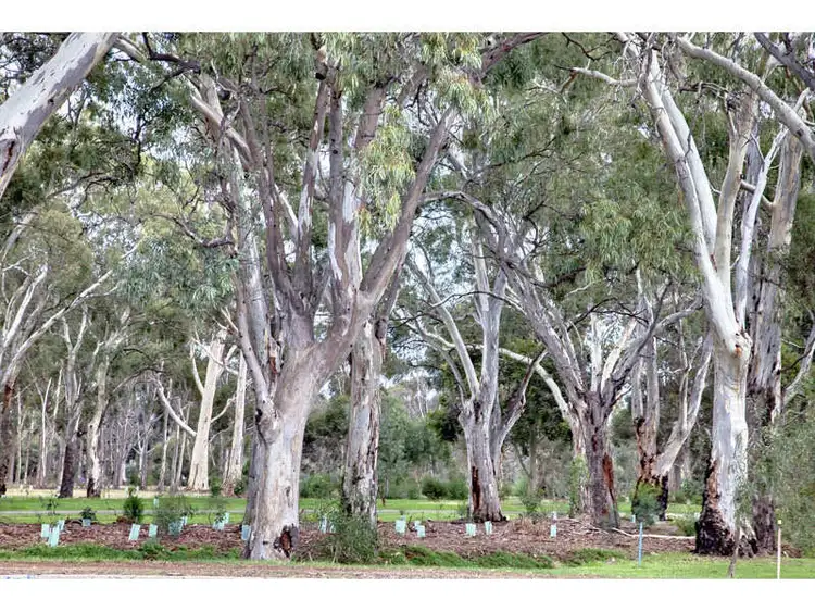 Fifth view of Homely house listing, 25 Everett Street, Dulwich SA 5065