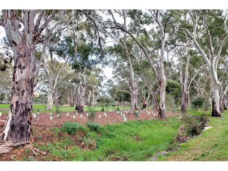 Sixth view of Homely house listing, 25 Everett Street, Dulwich SA 5065