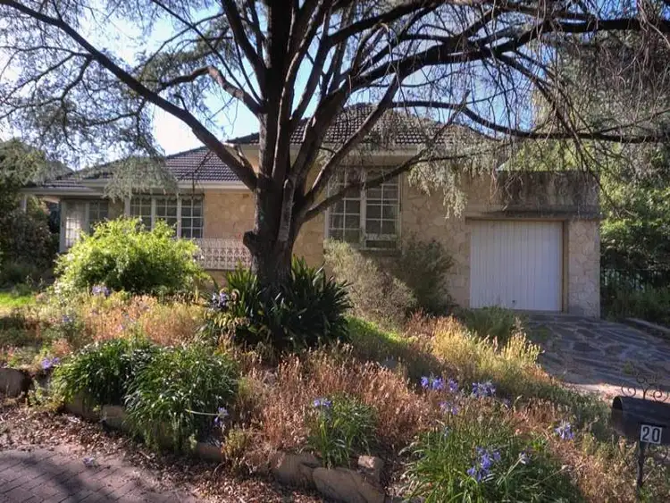 Second view of Homely house listing, 20 Woodcroft Avenue, St Georges SA 5064
