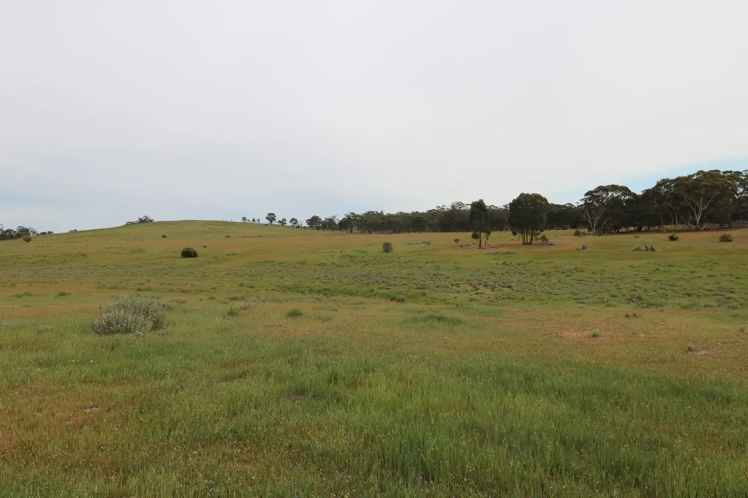 Main view of Homely land listing, 16C Calder Highway, Wedderburn VIC 3518
