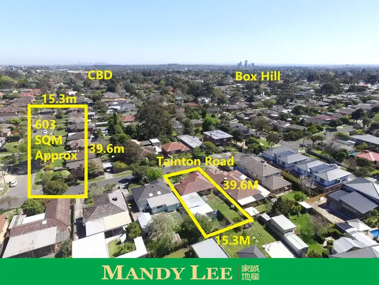 Second view of Homely house listing, 19 Tainton Road, Burwood East VIC 3151