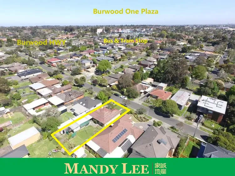 Third view of Homely house listing, 19 Tainton Road, Burwood East VIC 3151